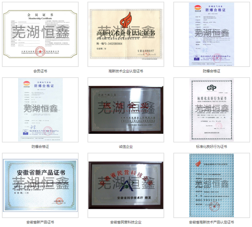 資質(zhì)榮譽 6.png